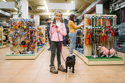 Tienda de mascotas con accesorios para perros